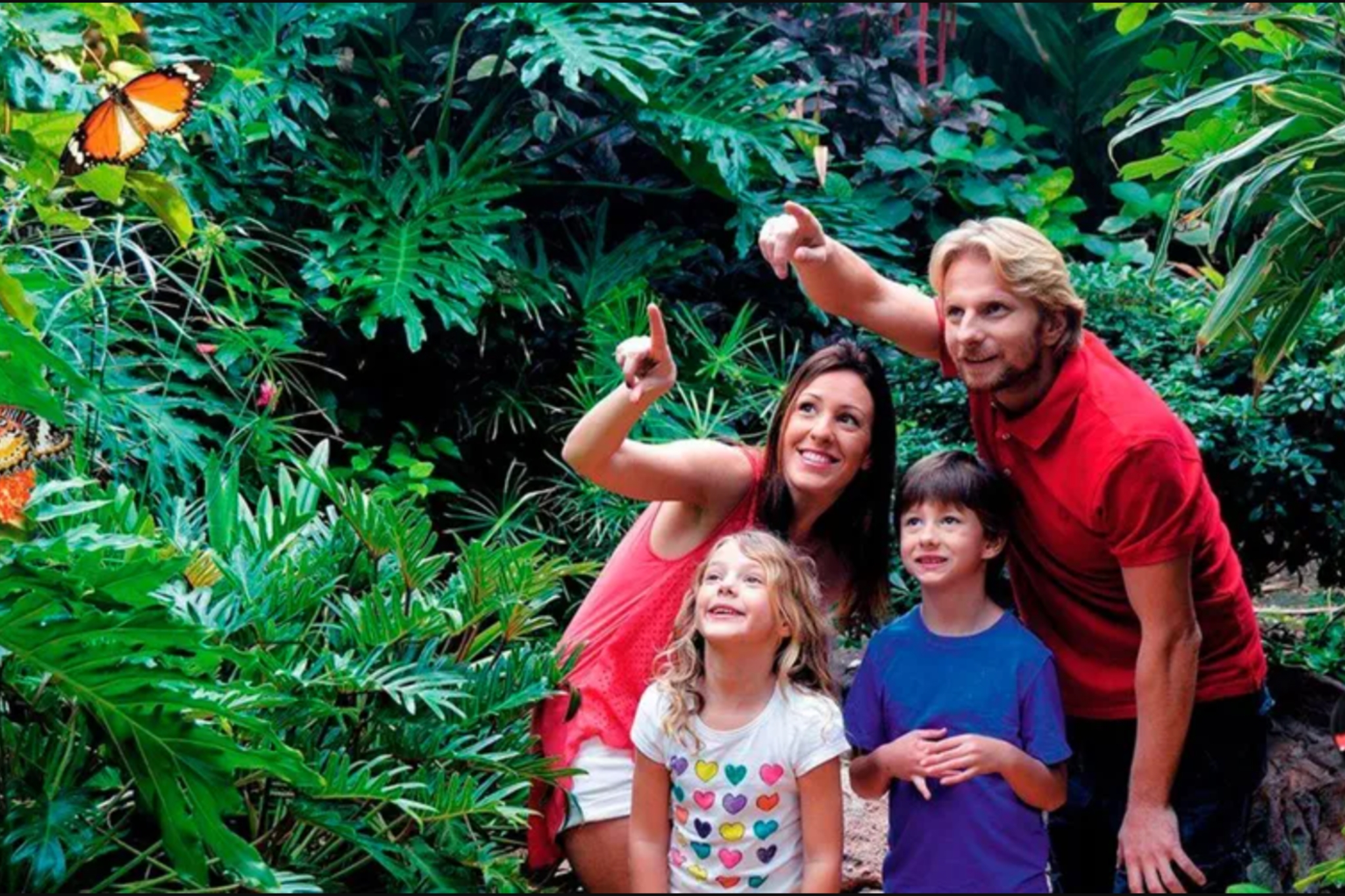 Palmitos Park (fauna y flora)