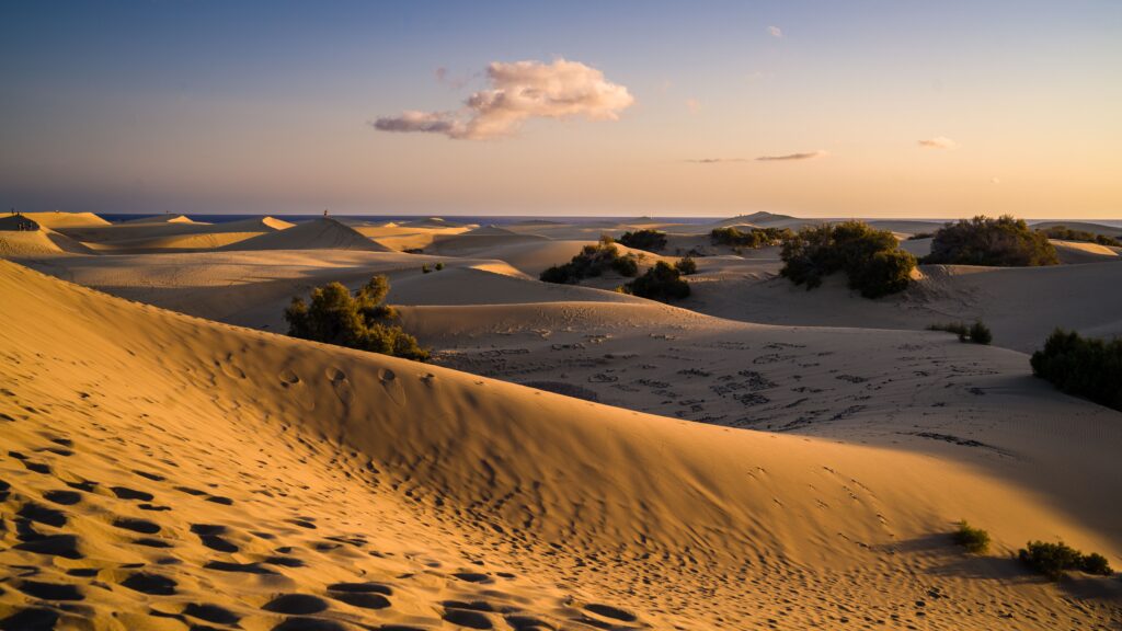 Dunas de Maspalomas, uno de los mejores lugares que ver visitar en Maspalomas